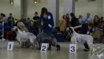 ВЫСТАВКИ - Евразия 2010